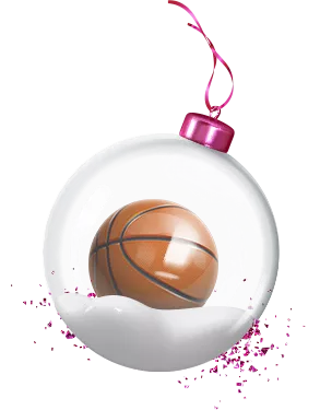 13230-basketball-17005625184256.png