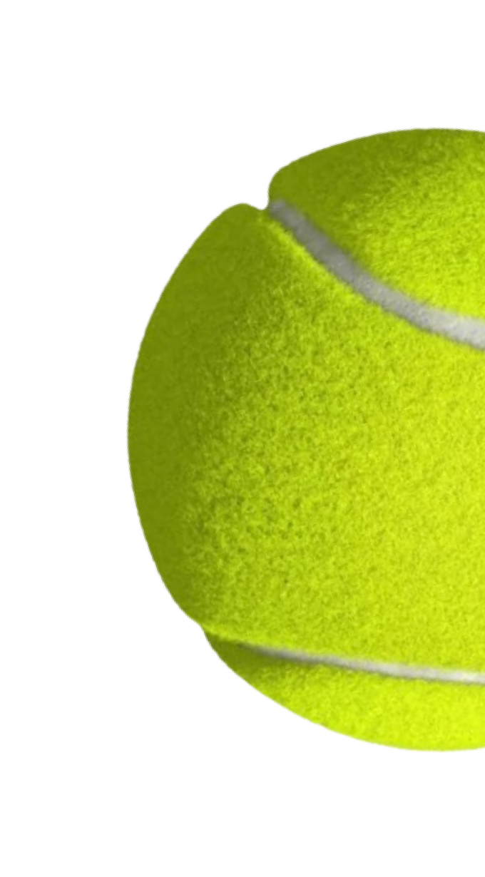 14559-removebg-preview-17104895222699.png
